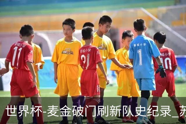 世界杯-麦金破门刷新队史纪录 苏格兰1-0海地领跑积分榜