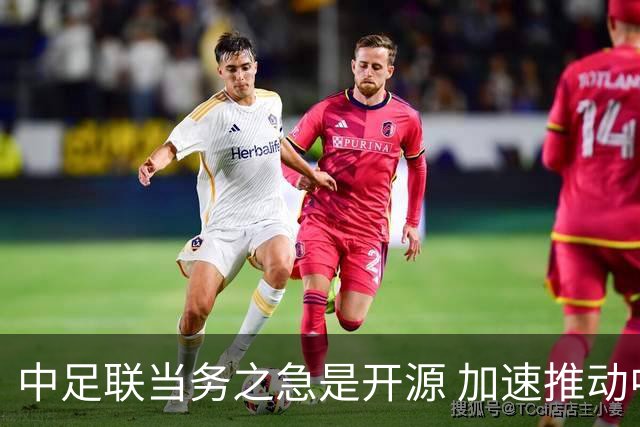 中足联当务之急是开源 加速推动中国足球职业化