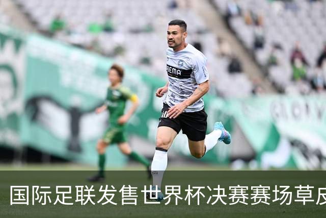 国际足联发售世界杯决赛赛场草皮 450美元一份