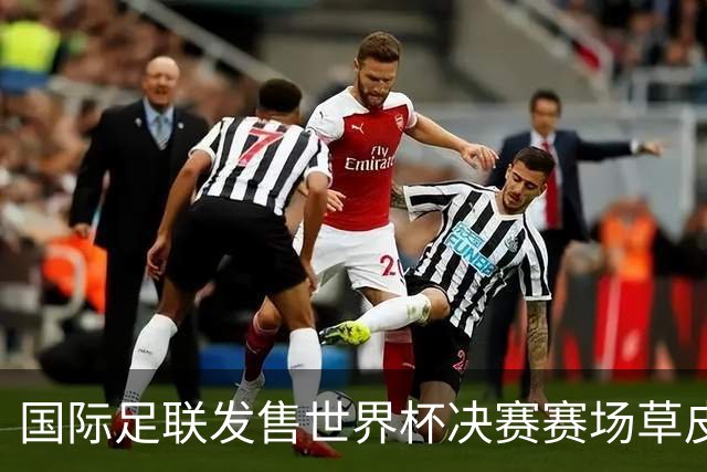 国际足联发售世界杯决赛赛场草皮 450美元一份