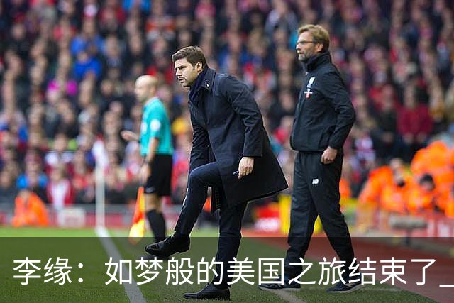 李缘：如梦般的美国之旅结束了 很开心自己勇敢跳出舒适圈