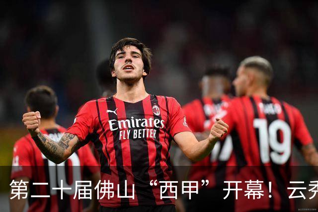 第二十届佛山“西甲”开幕！云秀山再燃湾区足球夏夜