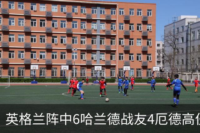 英格兰阵中6哈兰德战友4厄德高伙伴 凯恩真盟军仅1人